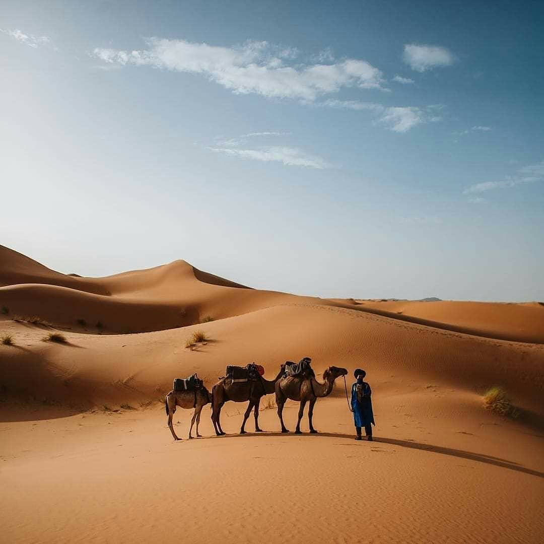 Camel-Tour-Boundless-Morocco-2