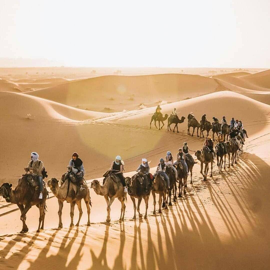 Camel-Train-Boundless-Morocco